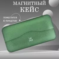 Магнитный кейс для 6 пинцетов Le Maitre Tissue Emerald