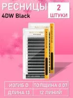 Nagaraku 4DW Black D 0.07 13 Ресницы 2 шт