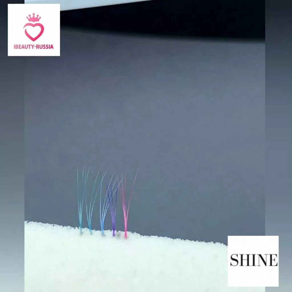 r7gbO6mrnYw.jpg r7gbO6mrnYw.jpg