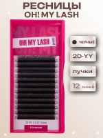 Ресницы черные OH! MY LASH 2D-YY пучки отдельные